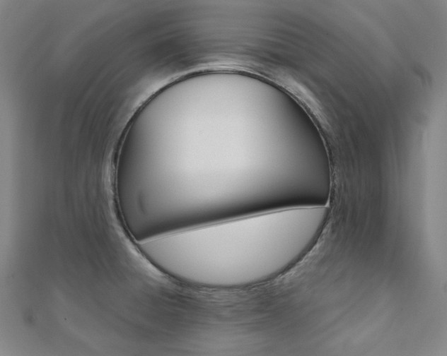 X0000112111428200908041142