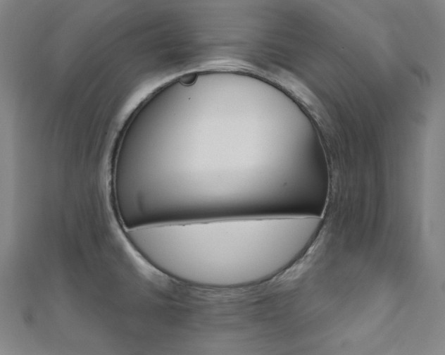 X0000112111430200908041142