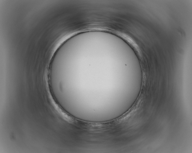 X0000112111431200908041142