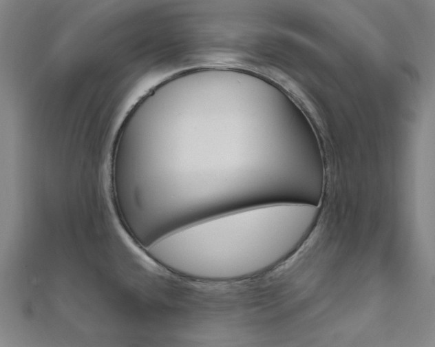 X0000112111432200908041142