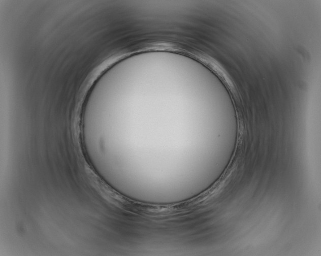 X0000112111435200908041142