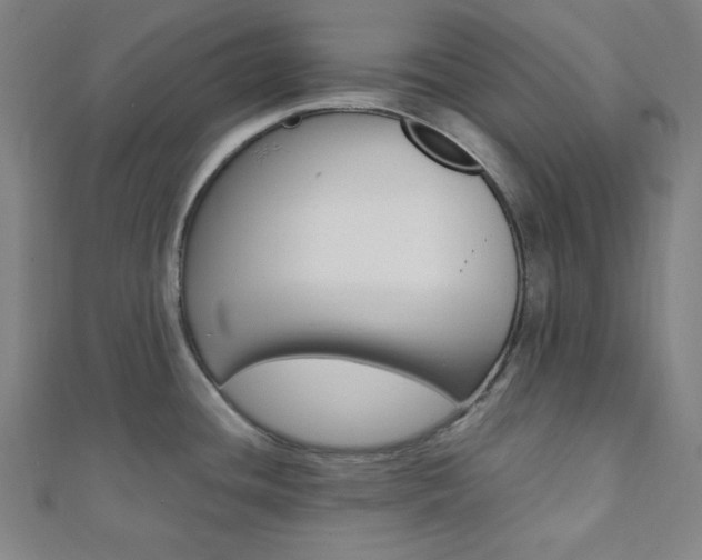 X0000112111436200908041142
