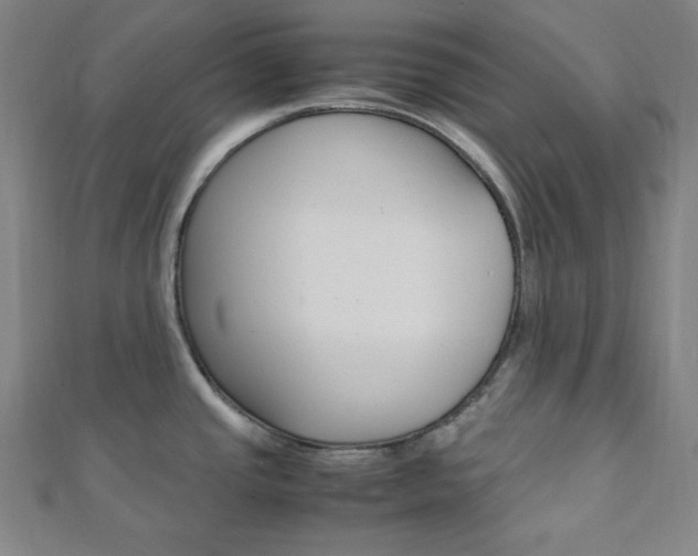 X0000112111437200908041142
