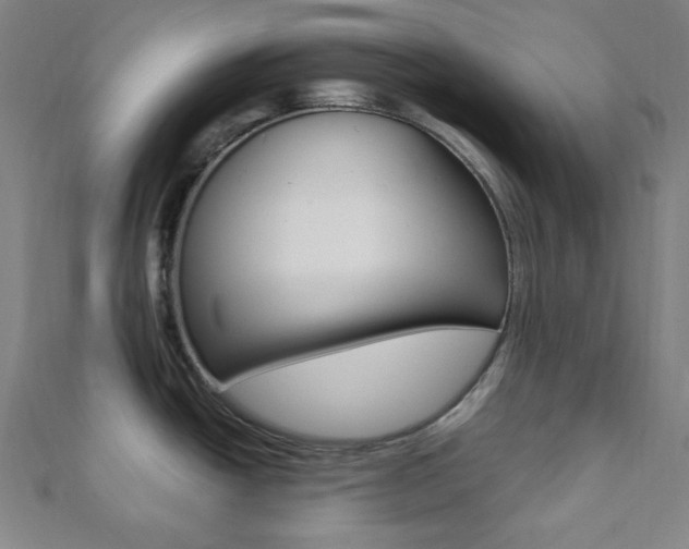 X0000112111438200908041142