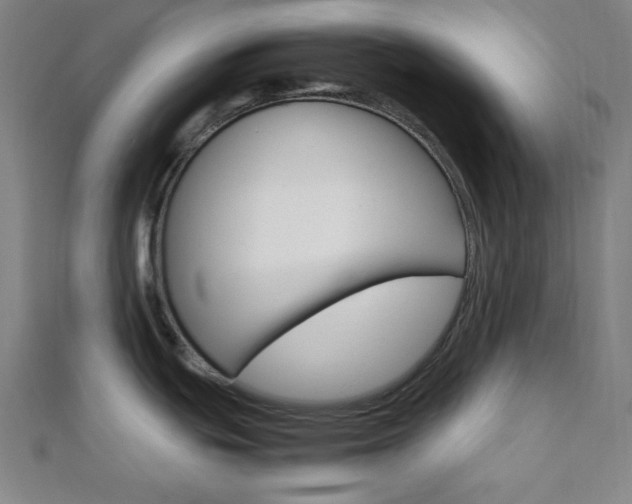X0000112111439200908041142