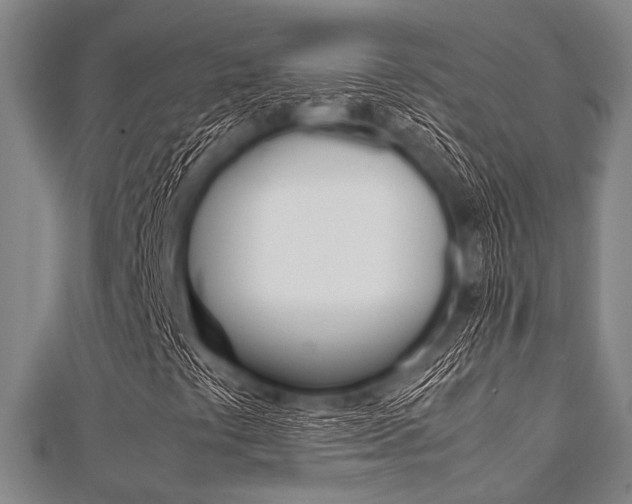 X0000112111441200908041141