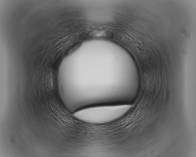 X0000112111442200908041141