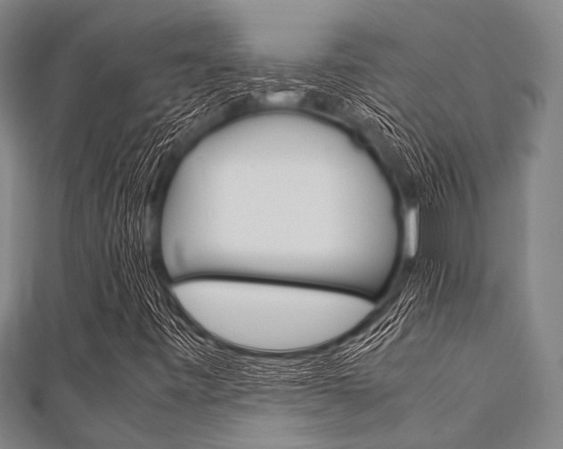 X0000112111443200908041141