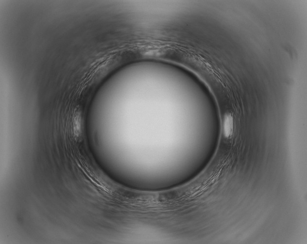 X0000112111444200908041141