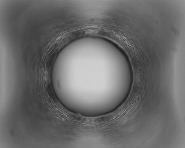 X0000112111445200908041141