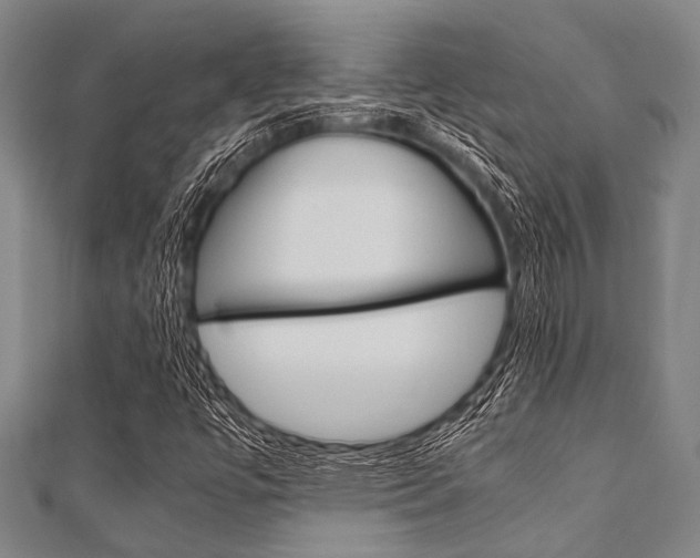 X0000112111447200908041141