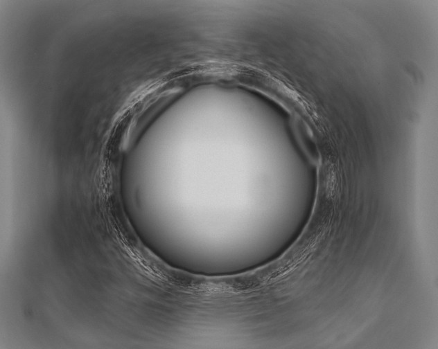 X0000112111448200908041141