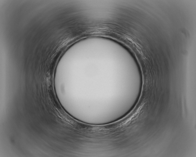 X0000112111449200908041141