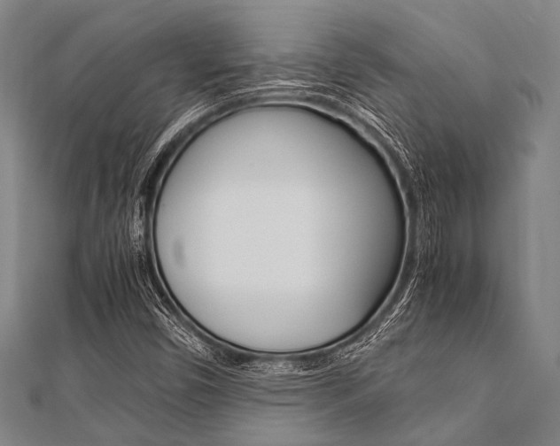 X0000112111450200908041141