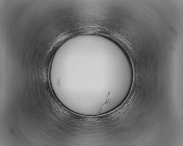 X0000112111451200908041141