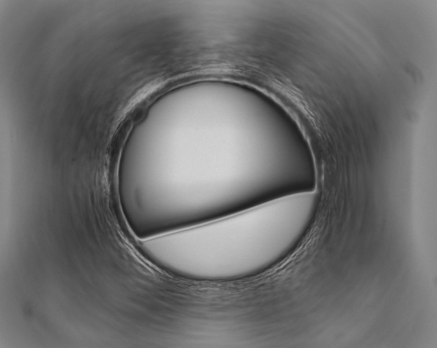 X0000112111452200908041141