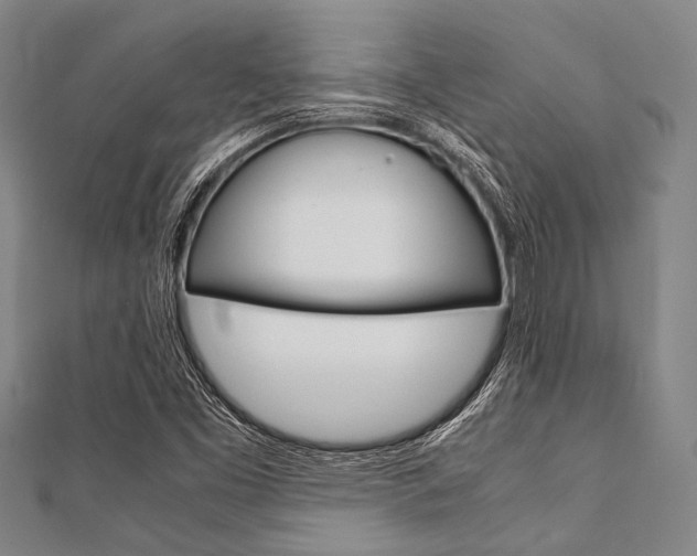 X0000112111453200908041141