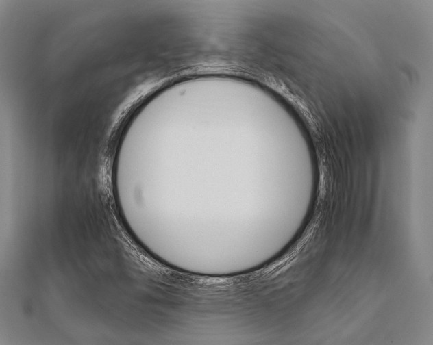 X0000112111454200908041141