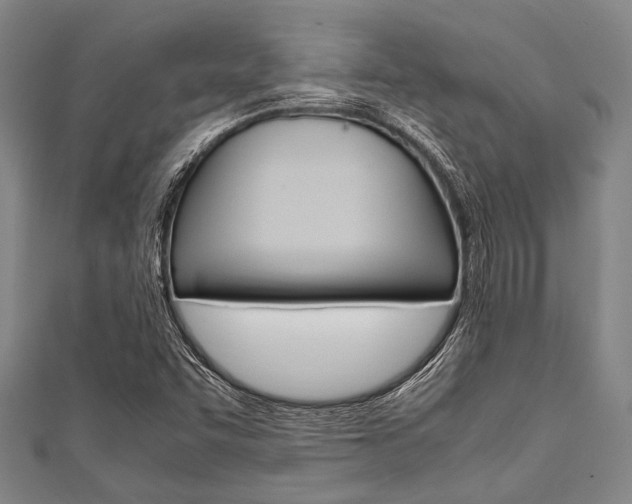 X0000112111455200908041141