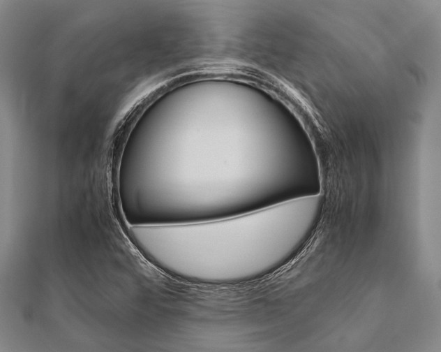 X0000112111456200908041141