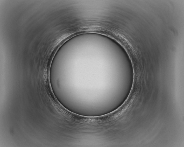 X0000112111457200908041141