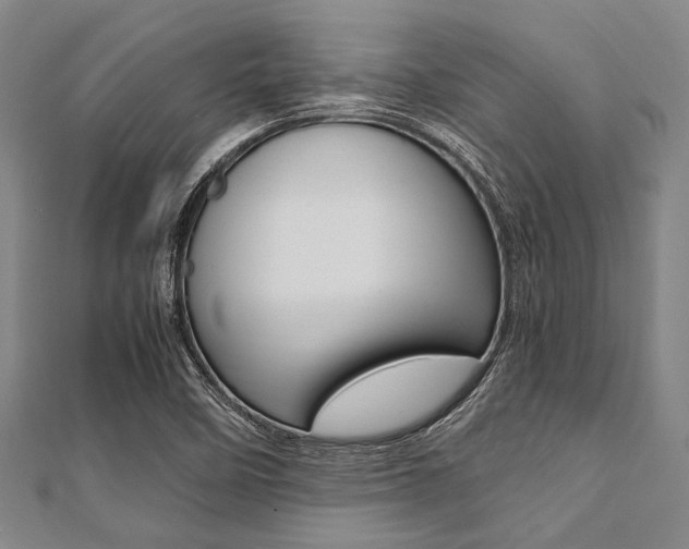 X0000112111458200908041141