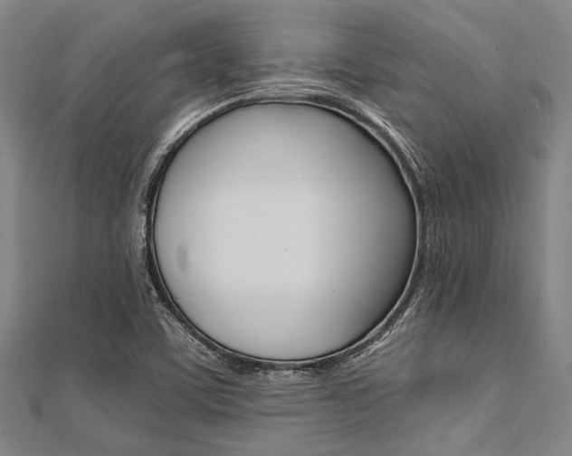 X0000112111459200908041141