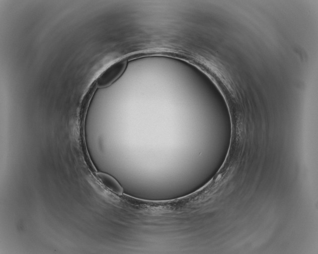X0000112111460200908041141