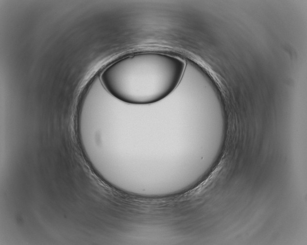 X0000112111461200908041141