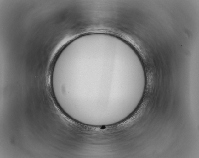 X0000112111462200908041141