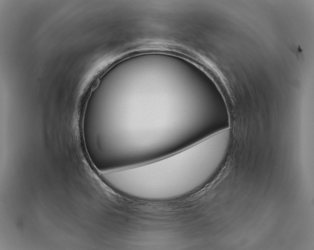X0000112111464200908041141