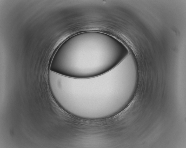 X0000112111465200908041141