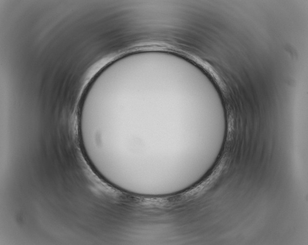 X0000112111466200908041141