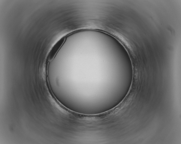 X0000112111468200908041141