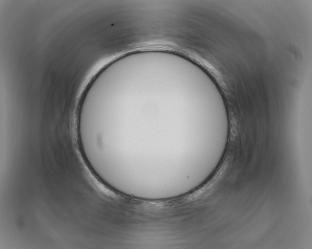 X0000112111470200908041141