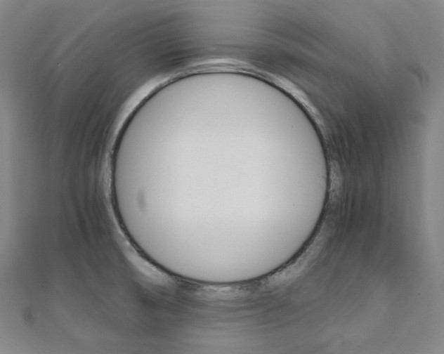 X0000112111474200908041141