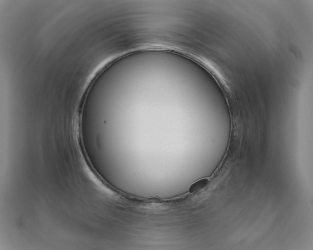 X0000112111476200908041141