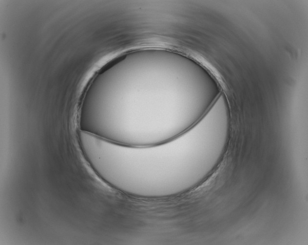 X0000112111477200908041141