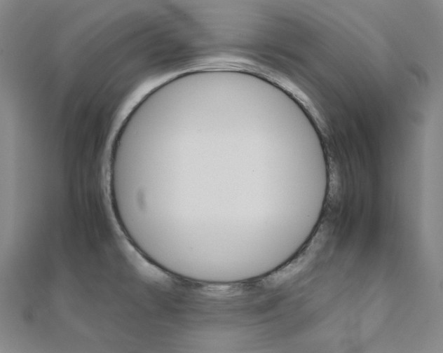 X0000112111478200908041141