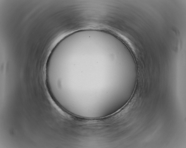 X0000112111479200908041141