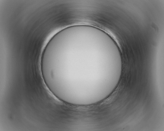 X0000112111480200908041141