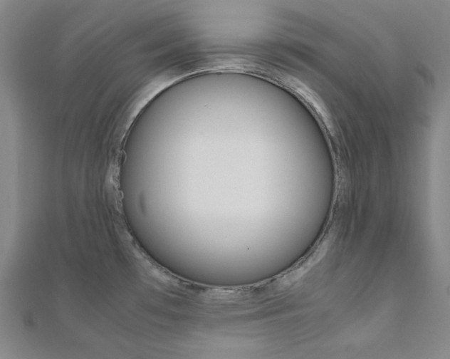 X0000112111481200908041141