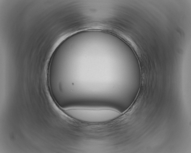 X0000112111483200908041141