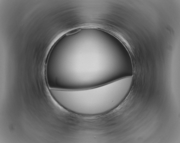 X0000112111484200908041141