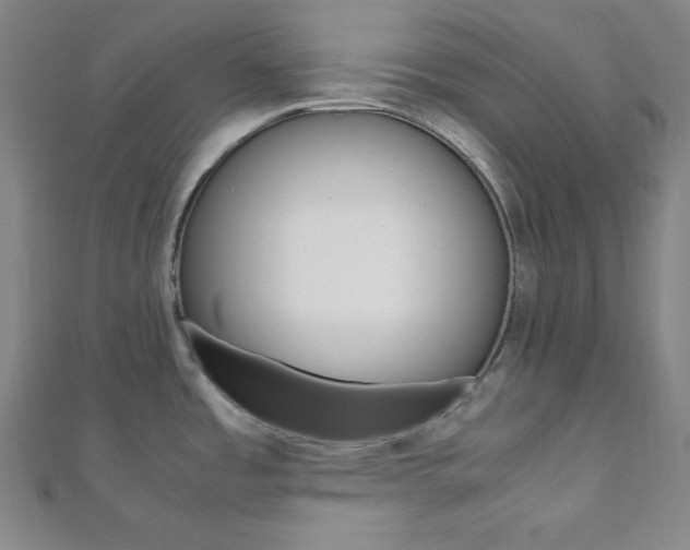 X0000112111485200908041141