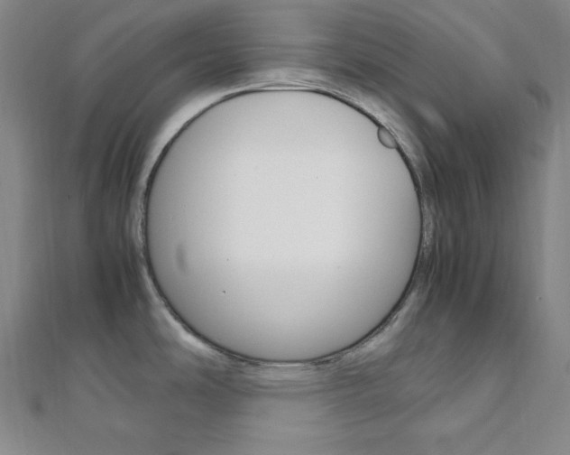 X0000112111486200908041141