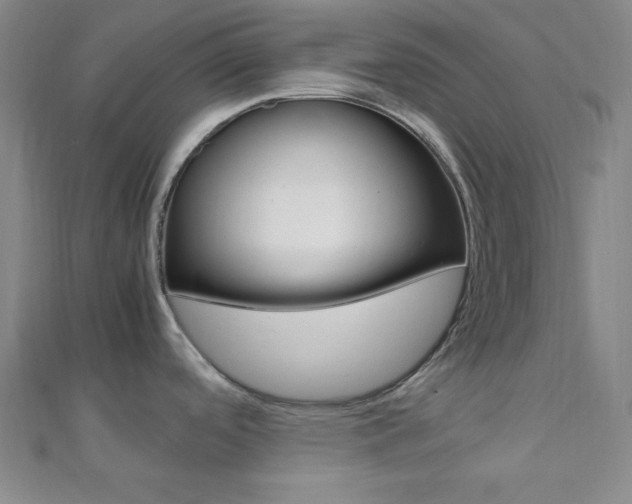 X0000112111488200908041141