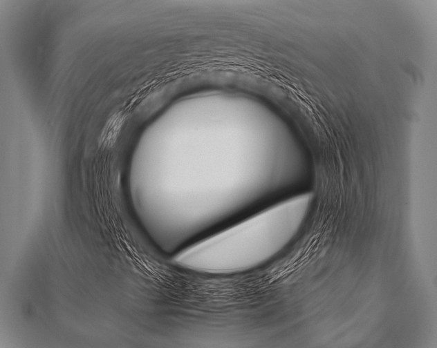 X0000112111489200908041140