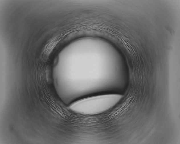 X0000112111490200908041140