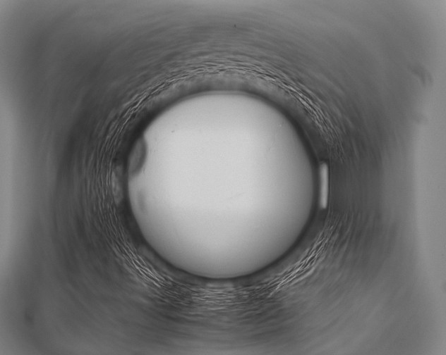 X0000112111491200908041140
